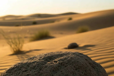 Dune's Cosmic Clarity: Enhancing the Fan Experience with Nicotine Toothpicks