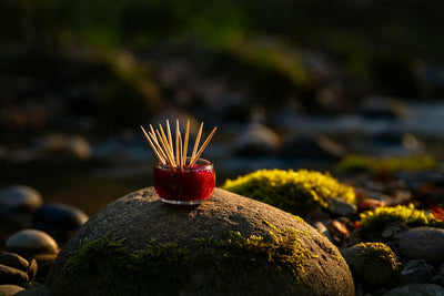 Guarding Body and Mind: Stokes Nicotine Toothpicks as a Clean Alternative to Microplastics and Endocrine Disruptors