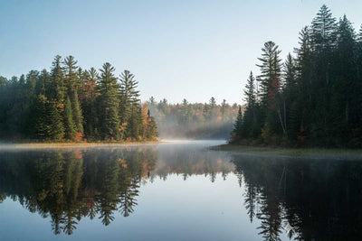 Maine Moose Mastery: Nicotine Toothpicks for the Ultimate Hunt